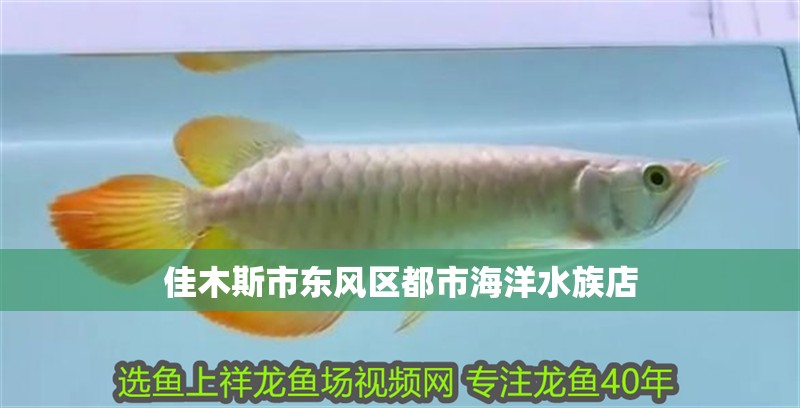 魚缸過濾器選購(gòu)指南:自制魚缸過濾器魚缸上置過濾器對(duì)于養(yǎng)魚愛好者的必備知識(shí) 佳木斯市東風(fēng)區(qū)都市海洋水族店 全國(guó)水族館企業(yè)名錄 佳木斯市東風(fēng)區(qū)都市海洋水族店 佳木斯市東風(fēng)區(qū)都市海洋水族店 全國(guó)水族館企業(yè)名錄