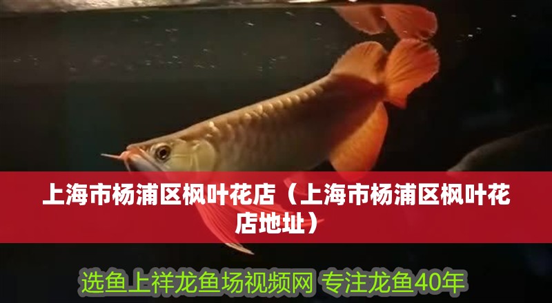 上海市楊浦區楓葉花店（上海市楊浦區楓葉花店地址）
