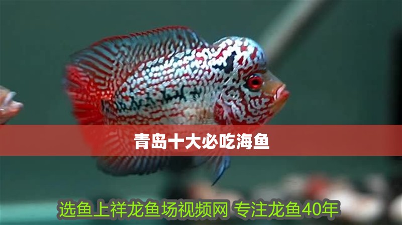 青島十大必吃海魚 青島十大必吃海魚 龍魚論壇