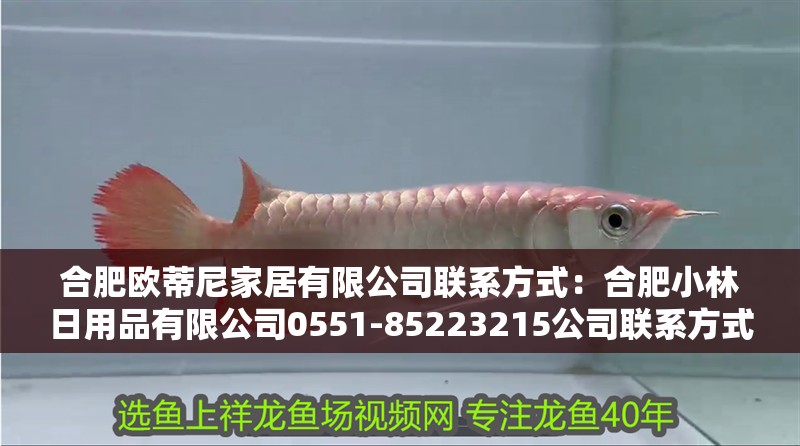 合肥歐蒂尼家居有限公司聯(lián)系方式：合肥小林日用品有限公司0551-85223215公司聯(lián)系方式