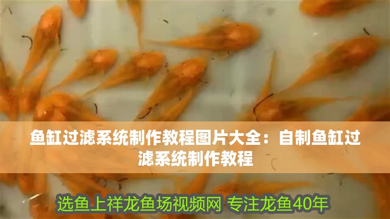 魚缸過濾系統(tǒng)制作教程圖片大全：自制魚缸過濾系統(tǒng)制作教程