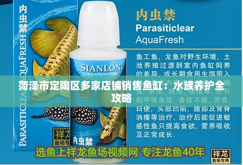 菏澤市定陶區多家店鋪銷售魚缸：水族養護全攻略 菏澤市定陶區多家店鋪銷售魚缸：水族養護全攻略 魚缸百科
