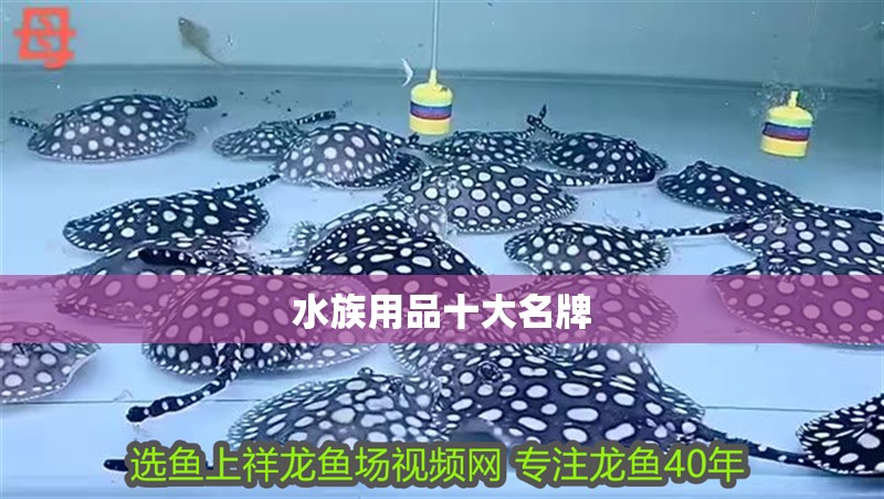 水族用品十<strong><mark>大名</mark></strong>牌