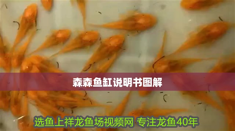 森森魚缸說明書圖解