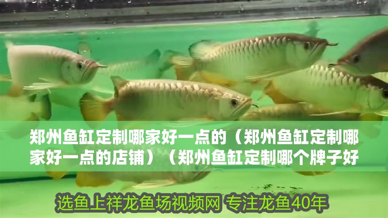 鄭州魚缸定制哪家好一點的（鄭州魚缸定制哪家好一點的店鋪）（鄭州魚缸定制哪個牌子好）