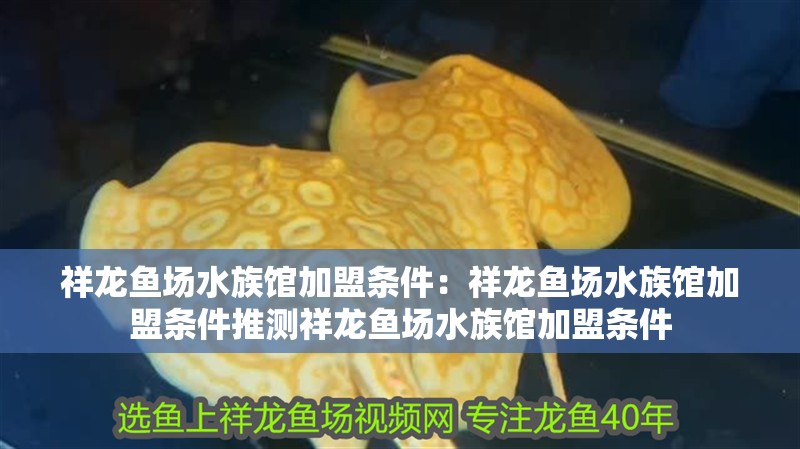 祥龍魚場水族館加盟條件：祥龍魚場水族館加盟條件推測祥龍魚場水族館加盟條件
