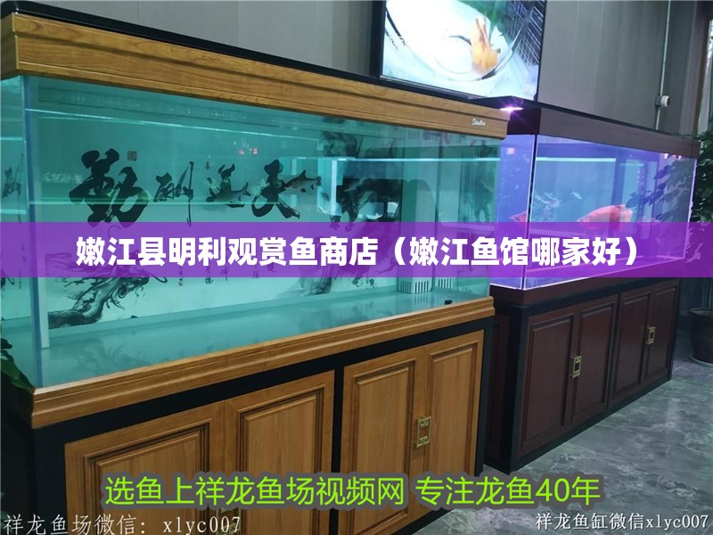 嫩江縣明利觀賞魚商店（嫩江魚館哪家好）