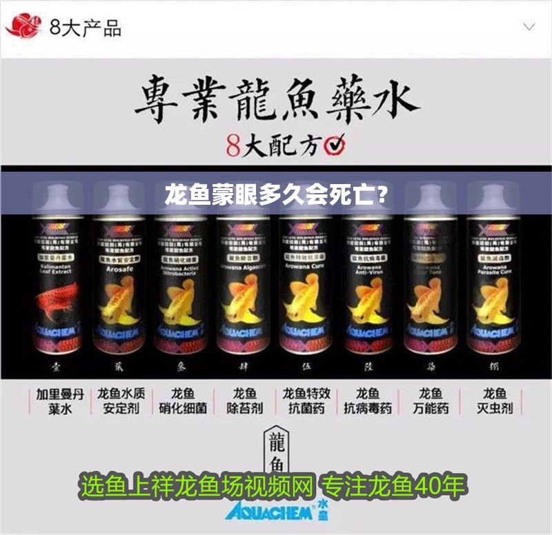 龍魚蒙眼多久會死亡？