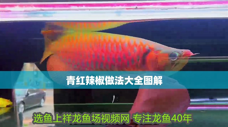 青紅辣椒做法大全圖解