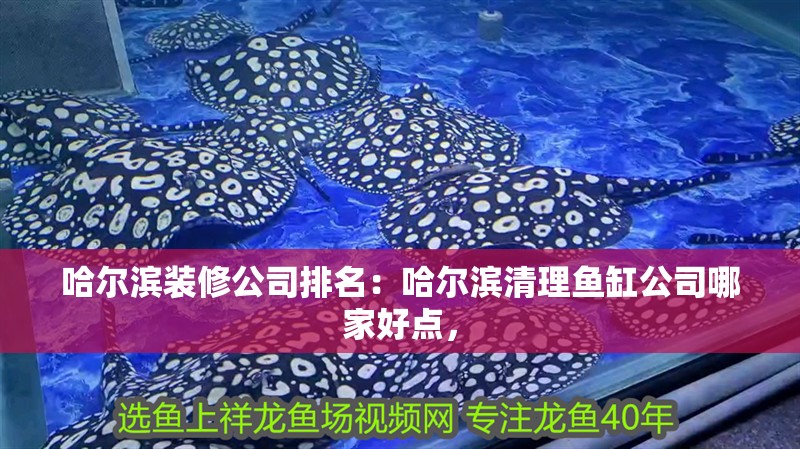 哈爾濱裝修公司排名：哈爾濱清理魚缸公司哪家好點(diǎn)，