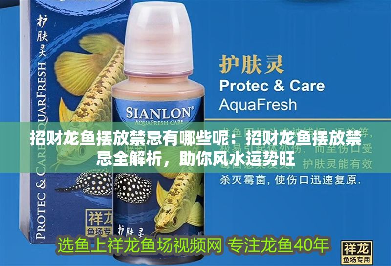 招財龍魚擺放禁忌有哪些呢：招財龍魚擺放禁忌全解析，助你風水運勢旺 招財龍魚擺放禁忌有哪些呢：招財龍魚擺放禁忌全解析，助你風水運勢旺 龍魚百科 第1張