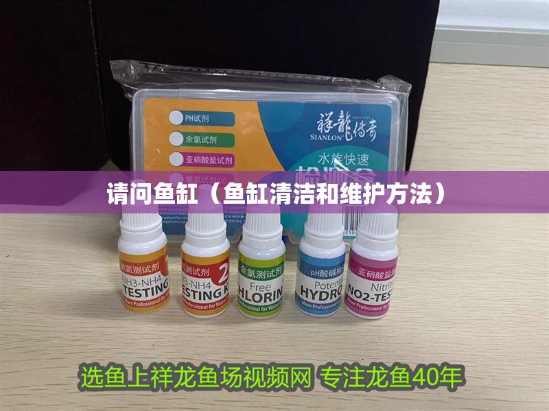 請問魚缸（魚缸清潔和維護方法）