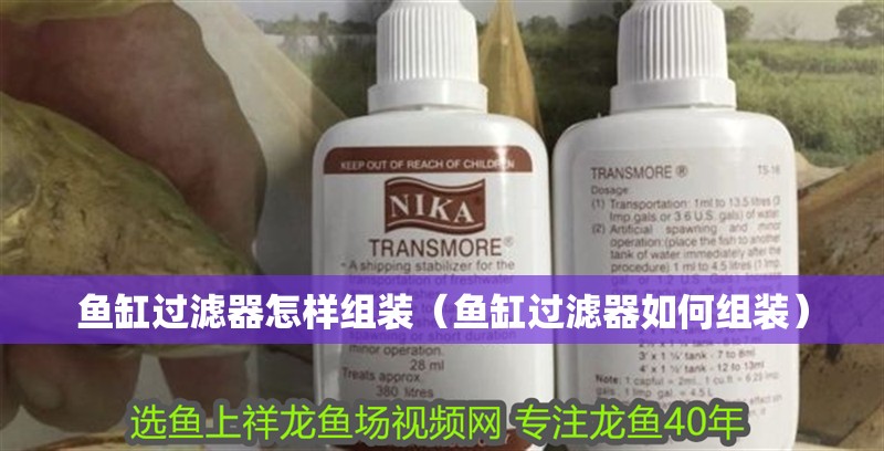 魚缸過濾器怎樣組裝（魚缸過濾器如何組裝）