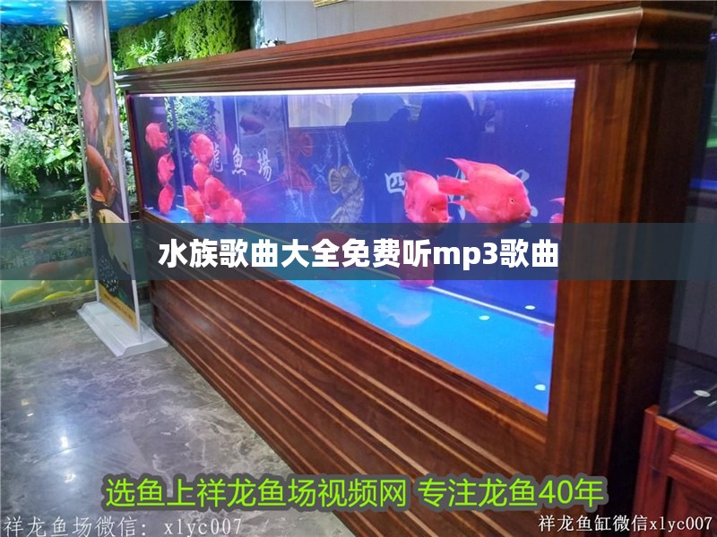 水族歌曲大全免費聽mp3歌曲 水族歌曲大全免費聽mp3歌曲 龍魚論壇