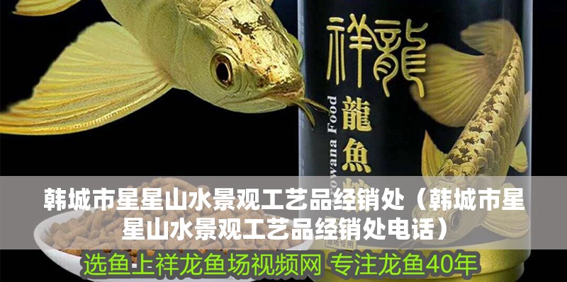 韓城市星星山水景觀工藝品經銷處（韓城市星星山水景觀工藝品經銷處電話）
