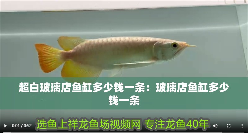 超白玻璃店魚缸多少錢一條：玻璃店魚缸多少錢一條