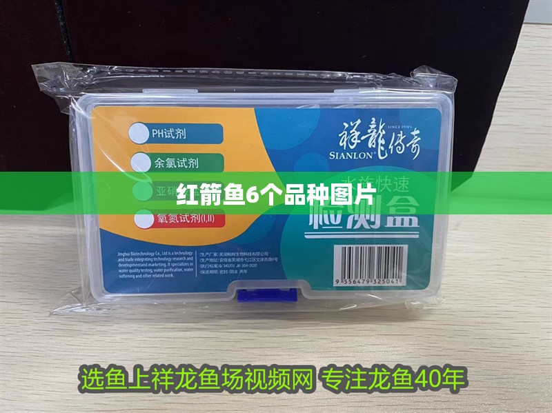 紅箭魚6個品種圖片