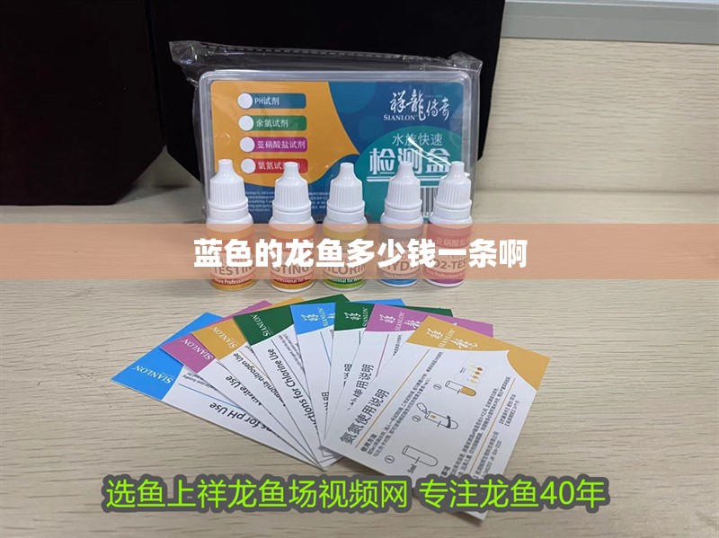 藍(lán)色的龍魚多少錢一條啊