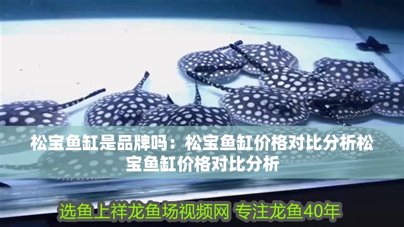 松寶魚缸是品牌嗎：松寶魚缸價格對比分析松寶魚缸價格對比分析 松寶魚缸是品牌嗎：松寶魚缸價格對比分析松寶魚缸價格對比分析 魚缸百科