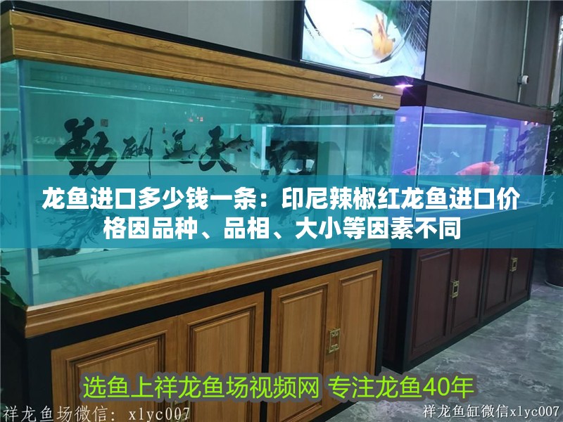 龍魚進口多少錢一條：印尼辣椒紅龍魚進口價格因品種、品相、大小等因素不同