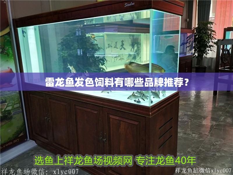 魚缸用增氧泵價格是多少:魚缸增氧機-xtrac增氧機-xtrac增氧機 雷龍魚發色飼料有哪些品牌推薦? 龍魚論壇 雷龍魚發色飼料有哪些品牌推薦? 雷龍魚發色飼料有哪些品牌推薦? 龍魚論壇