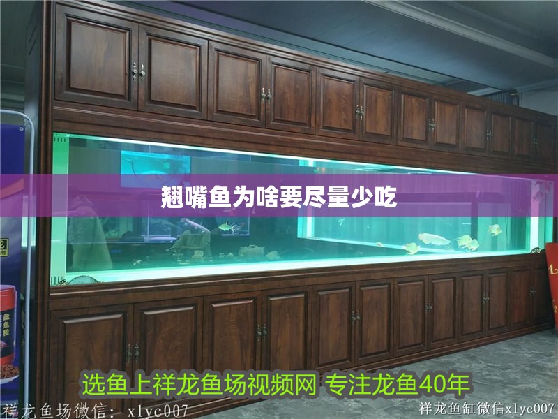 翹嘴魚(yú)為啥要盡量少吃