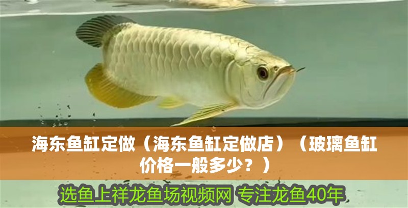 海東魚缸定做（海東魚缸定做店）（玻璃魚缸價格一般多少？）
