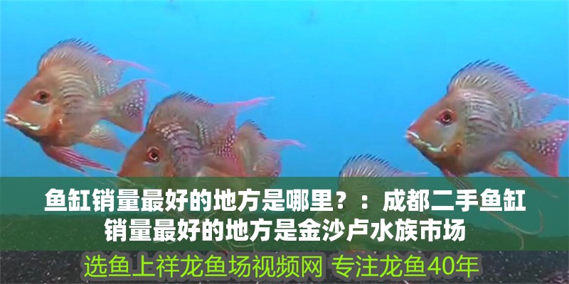 魚缸銷量最好的地方是哪里？：成都二手魚缸銷量最好的地方是<strong><mark>金沙</mark></strong>盧水族市場