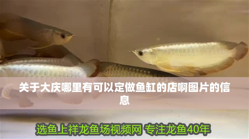 關于大慶哪里有可以定做魚缸的店啊圖片的信息 關于大慶哪里有可以定做魚缸的店啊圖片的信息 全國水族館企業名錄