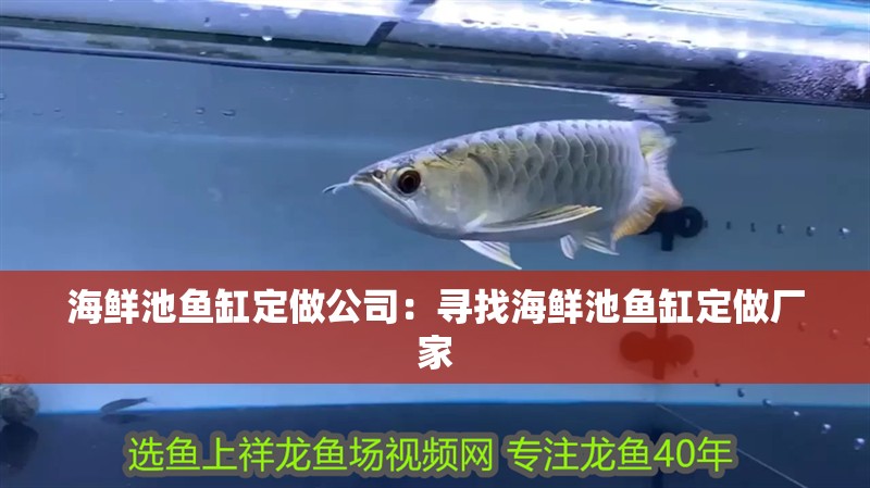 海鮮池魚缸定做公司：尋找海鮮池魚缸定做廠家 海鮮池魚缸定做公司：尋找海鮮池魚缸定做廠家 魚缸百科