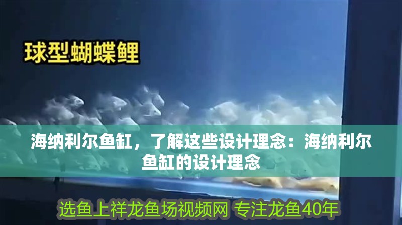海納利爾魚缸，了解這些設計理念：海納利爾魚缸的設計理念 海納利爾魚缸，了解這些設計理念：海納利爾魚缸的設計理念 魚缸百科