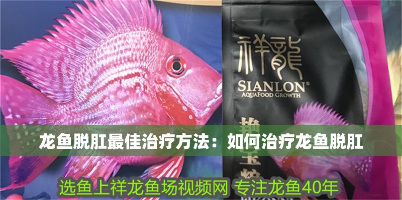 紅龍魚(yú)用黃燈烤有用嗎 龍魚(yú)脫肛最佳治療方法:如何治療龍魚(yú)脫肛 龍魚(yú)百科 龍魚(yú)脫肛最佳治療方法:如何治療龍魚(yú)脫肛 龍魚(yú)脫肛最佳治療方法:如何治療龍魚(yú)脫肛 龍魚(yú)百科