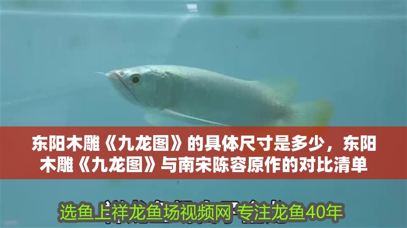 東陽木雕《九龍圖》的具體尺寸是多少，東陽木雕《九龍圖》與南宋陳容原作的對比清單 東陽木雕《九龍圖》的具體尺寸是多少，東陽木雕《九龍圖》與南宋陳容原作的對比清單 龍魚百科