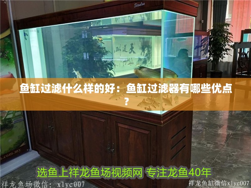 魚缸過濾什么樣的好：魚缸過濾器有哪些優(yōu)點？ 魚缸過濾什么樣的好：魚缸過濾器有哪些優(yōu)點？ 魚缸百科