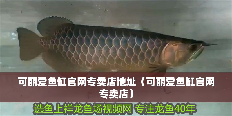 可麗愛魚缸官網專賣店地址（可麗愛魚缸官網專賣店） 可麗愛魚缸官網專賣店地址（可麗愛魚缸官網專賣店） 魚缸百科