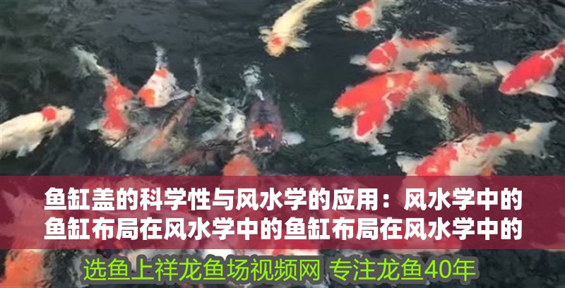 龍魚(yú)干蝦有營(yíng)養(yǎng)嗎 魚(yú)缸蓋的科學(xué)性與風(fēng)水學(xué)的應(yīng)用:風(fēng)水學(xué)中的魚(yú)缸布局在風(fēng)水學(xué)中的魚(yú)缸布局在風(fēng)水學(xué)中的原則 魚(yú)缸百科 魚(yú)缸蓋的科學(xué)性與風(fēng)水學(xué)的應(yīng)用:風(fēng)水學(xué)中的魚(yú)缸布局在風(fēng)水學(xué)中的魚(yú)缸布局在風(fēng)水學(xué)中的原則 魚(yú)缸蓋的科學(xué)性與風(fēng)水學(xué)的應(yīng)用:風(fēng)水學(xué)中的魚(yú)缸布局在風(fēng)水學(xué)中的魚(yú)缸布局在風(fēng)水學(xué)中的原則 魚(yú)缸百科