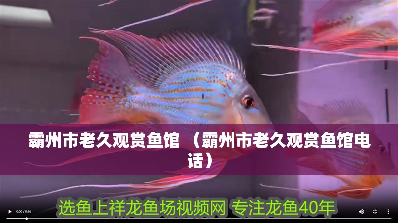 霸州市老久觀賞魚館 （霸州市老久觀賞魚館電話）