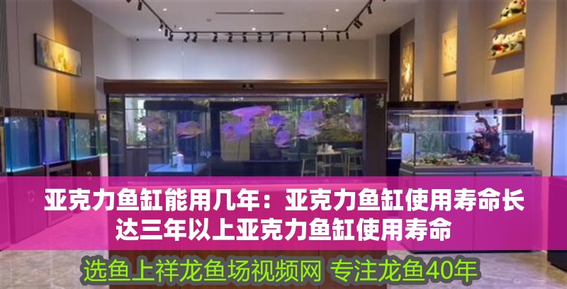 魚缸過濾器選購指南:自制魚缸過濾器魚缸上置過濾器對于養魚愛好者的必備知識 亞克力魚缸能用幾年:亞克力魚缸使用壽命長達三年以上亞克力魚缸使用壽命 魚缸百科 亞克力魚缸能用幾年:亞克力魚缸使用壽命長達三年以上亞克力魚缸使用壽命 亞克力魚缸能用幾年:亞克力魚缸使用壽命長達三年以上亞克力魚缸使用壽命 魚缸百科