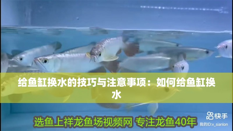 給魚缸換水的技巧與注意事項(xiàng)：如何給魚缸換水 給魚缸換水的技巧與注意事項(xiàng)：如何給魚缸換水 魚缸百科