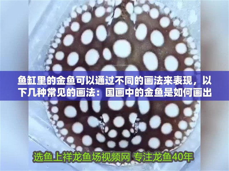 印尼虎魚多少溫度飼養最好:印尼虎魚多少溫度飼養最好印尼虎魚多少溫度飼養最好 魚缸里的金魚可以通過不同的畫法來表現,以下幾種常見的畫法:國畫中的金魚是如何畫出來的? 魚缸百科 魚缸里的金魚可以通過不同的畫法來表現,以下幾種常見的畫法:國畫中的金魚是如何畫出來的? 魚缸里的金魚可以通過不同的畫法來表現,以下幾種常見的畫法:國畫中的金魚是如何畫出來的? 魚缸百科