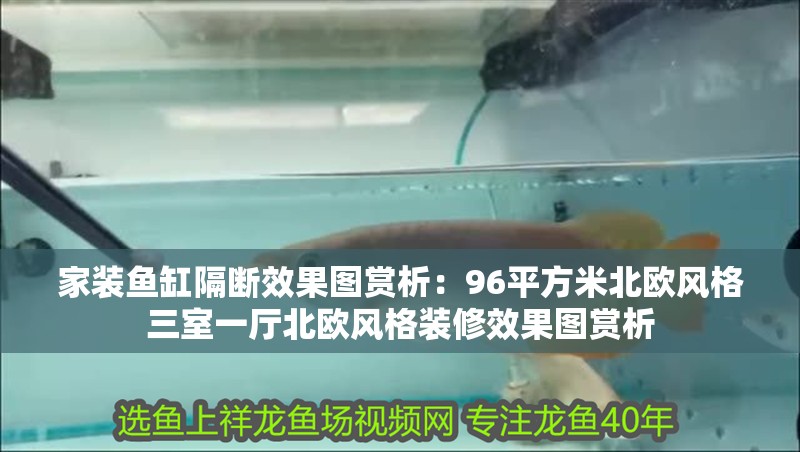 家裝魚缸隔斷效果圖賞析：96平方米北歐風格三室一廳北歐風格裝修效果圖賞析