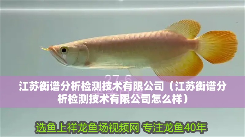江蘇衡譜分析檢測技術有限公司（江蘇衡譜分析檢測技術有限公司怎么樣）