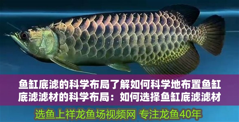 魚缸底濾的科學(xué)布局了解如何科學(xué)地布置魚缸底濾濾材的科學(xué)布局：如何選擇魚缸底濾濾材