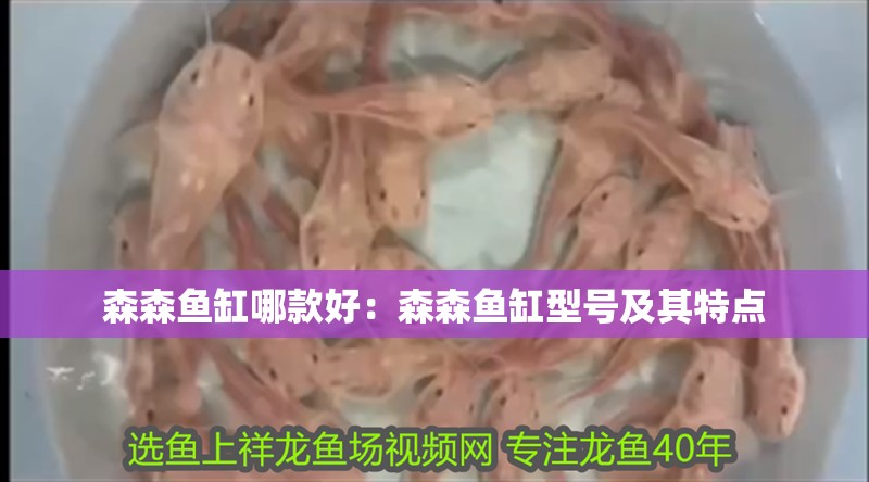 森森魚缸哪款好：森森魚缸型號及其特點