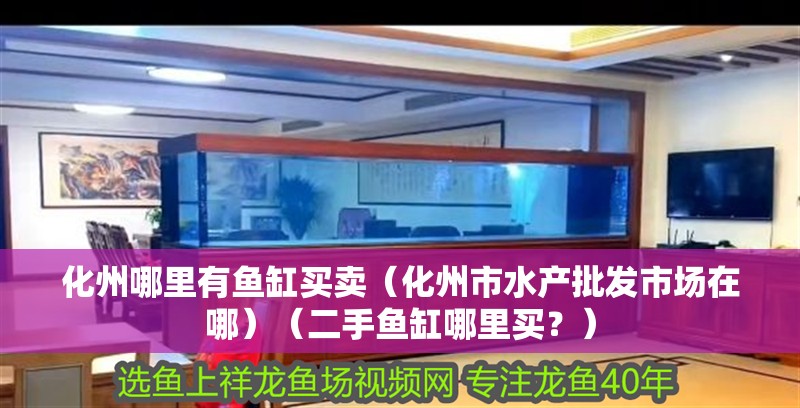 <strong><mark>化州</mark></strong>哪里有魚(yú)缸買賣（<strong><mark>化州</mark></strong>市水產(chǎn)批發(fā)市場(chǎng)在哪）（二手魚(yú)缸哪里買？）