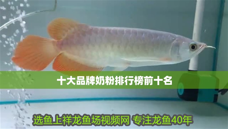 十大品牌奶粉排行榜前十名