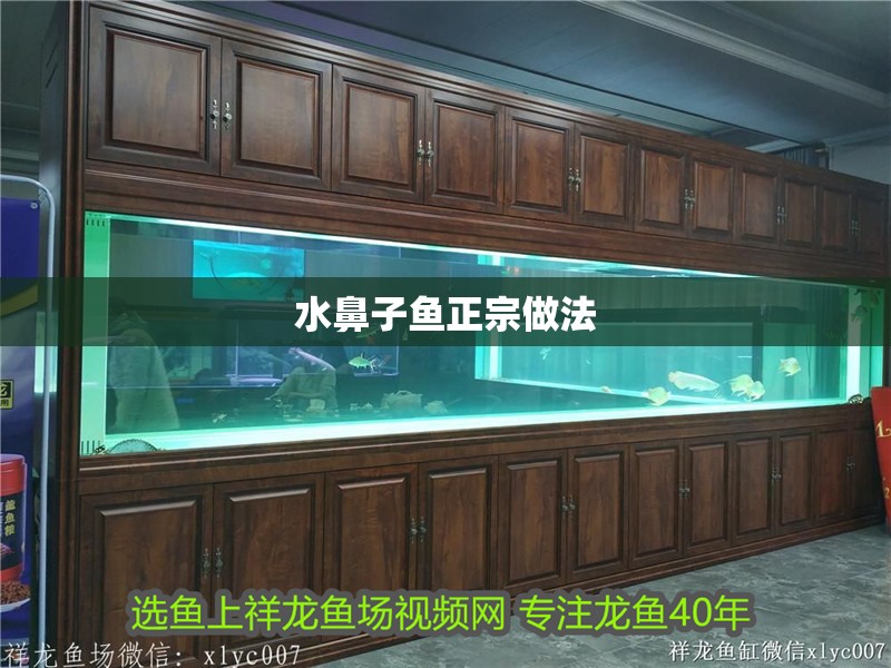 水鼻子魚正宗做法 水鼻子魚正宗做法 龍魚論壇