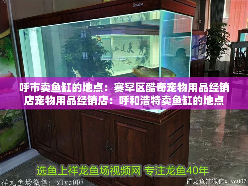 呼市賣魚缸的地點：賽罕區酷奇寵物用品經銷店寵物用品經銷店：呼和浩特賣魚缸的地點