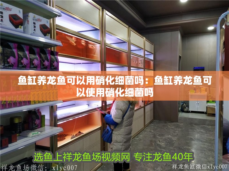 魚缸養龍魚可以用硝化細菌嗎：魚缸養龍魚可以使用硝化細菌嗎