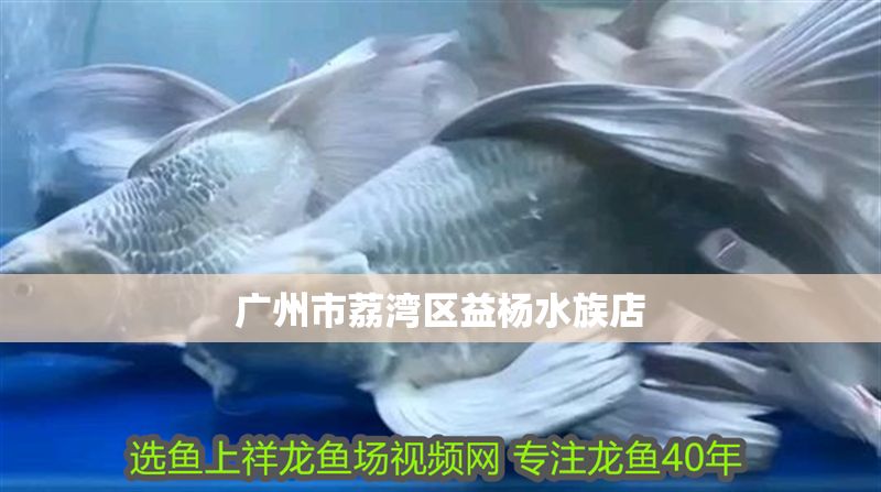 廣州市荔灣區益楊水族店